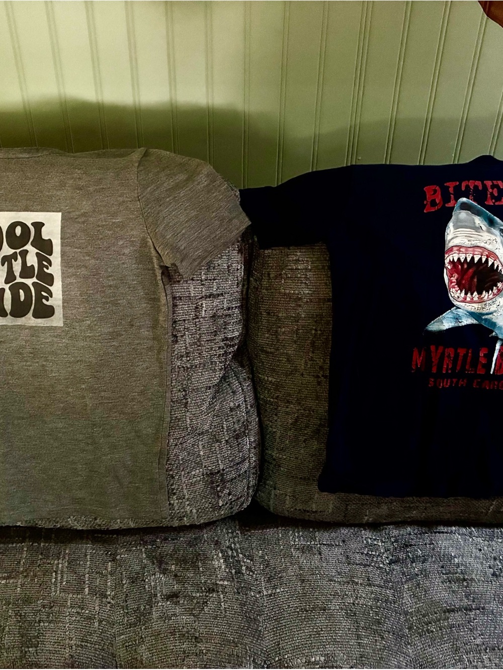 Kids Gray Graphic Tee - two tee bundle